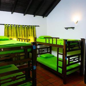 Dormitory Room Mixed